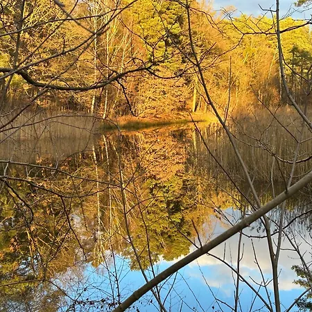 Waldfloß Botel