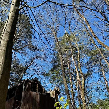 Waldfloß