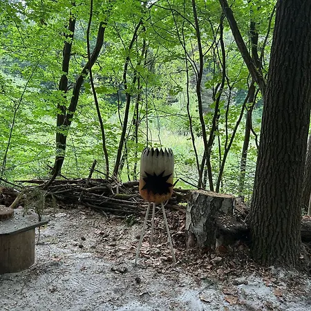 Waldfloß Botel Zieko