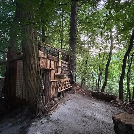 Waldfloß Zieko